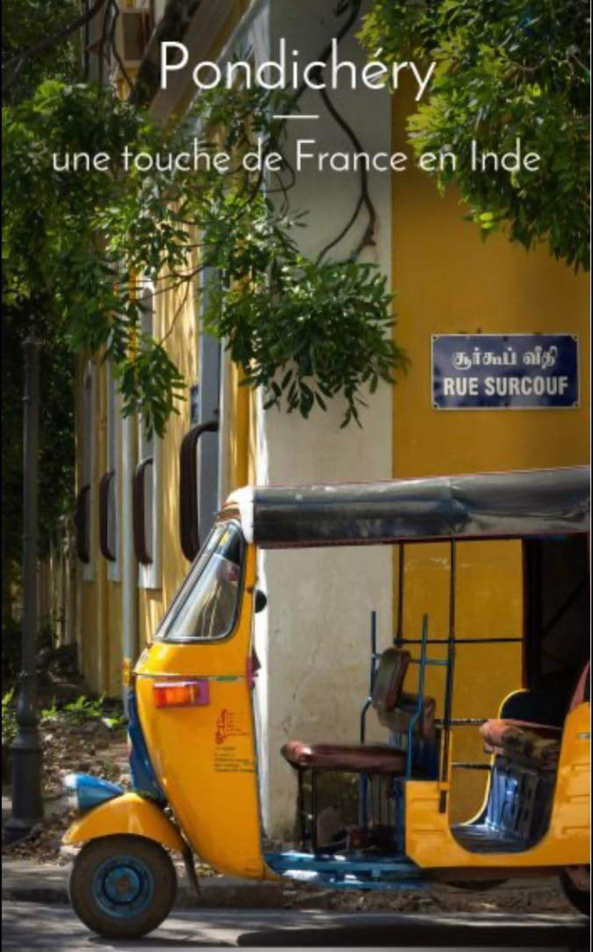 423541885_2402087196848173_4956213229757464005_n