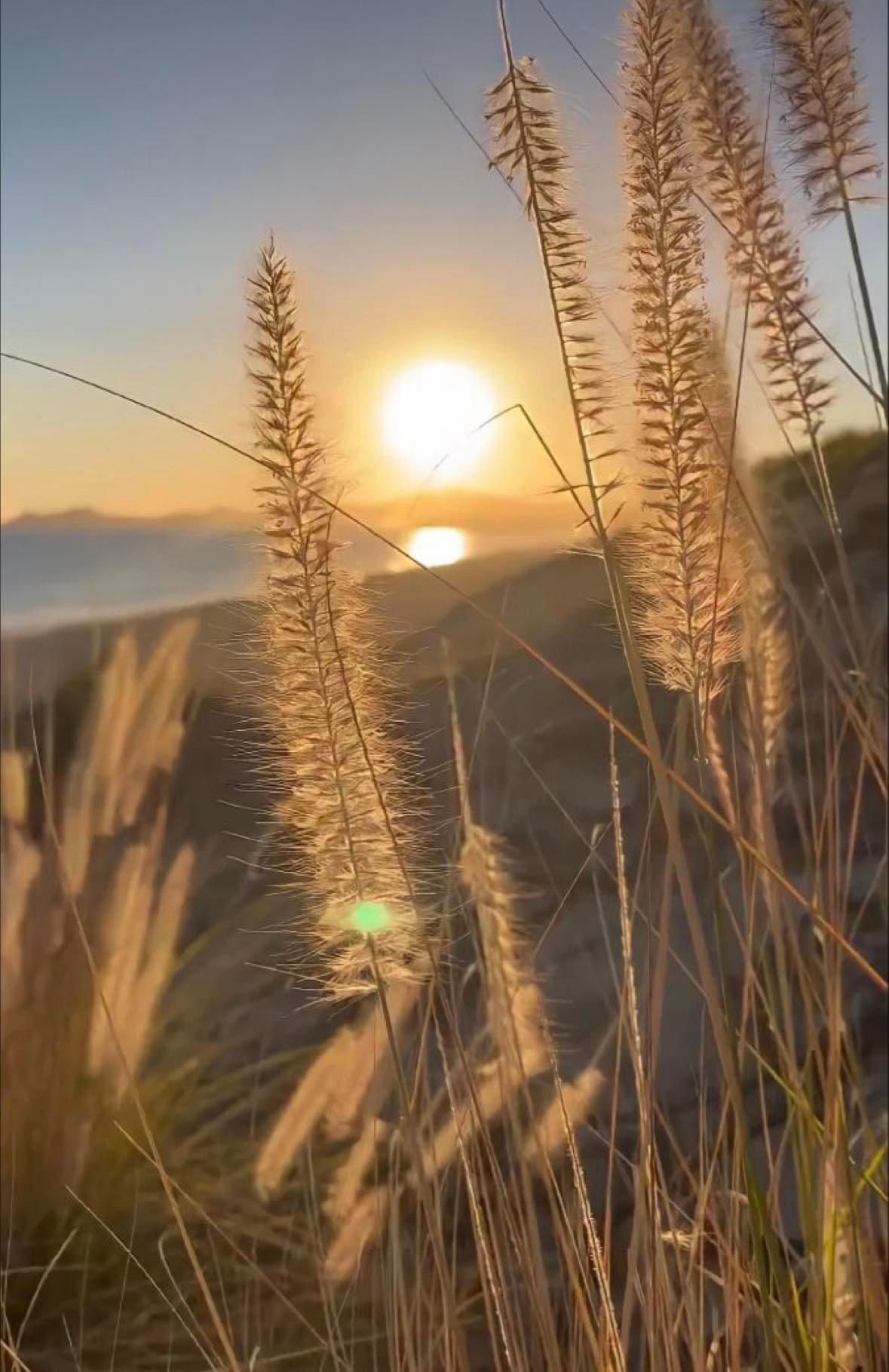 423686516_942829674097314_3095870939251195733_n